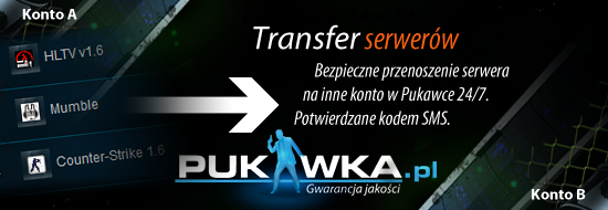 transfer_serwerow.png